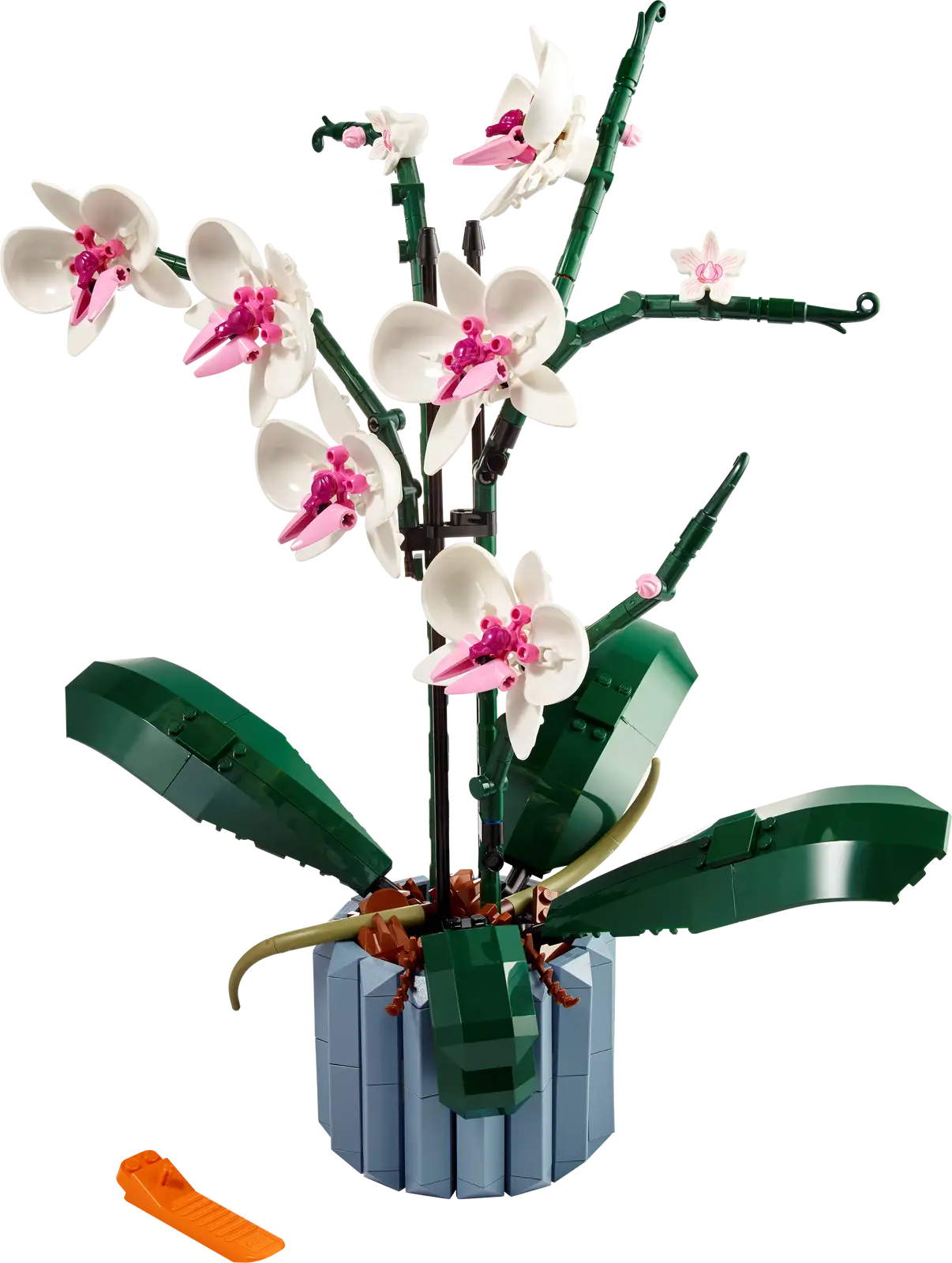 10311 LEGO Orchid Open Box