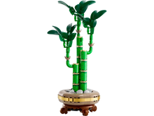 10344 LEGO Botanicals Lucky Bamboo