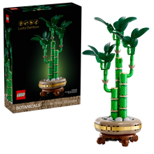 10344 LEGO Botanicals Lucky Bamboo