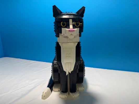 21349 Tuxedo Cat Used