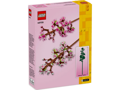 40725 Cherry Blossoms