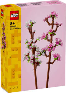 40725 Cherry Blossoms