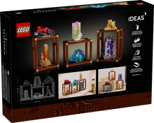 21362 Mineral Collection