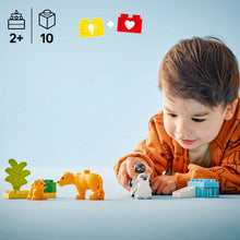 10442 Wild Animal Families: Penguins & Lions